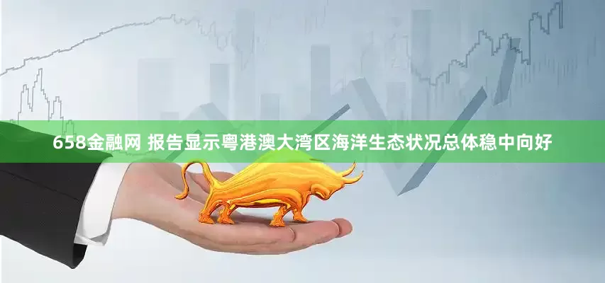 658金融网 报告显示粤港澳大湾区海洋生态状况总体稳中向好