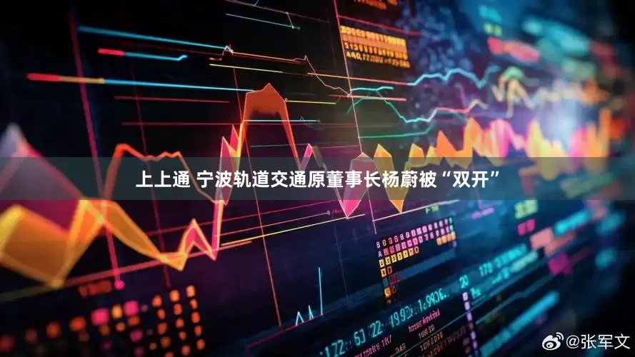 上上通 宁波轨道交通原董事长杨蔚被“双开”